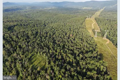 310.87+/- Acres Off Laurel Grove Road, Winchester, VA 22602 - Photo 71