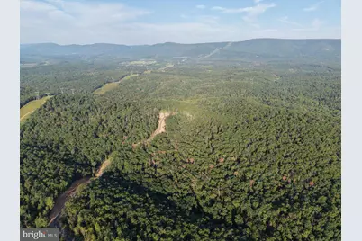 310.87+/- Acres Off Laurel Grove Road, Winchester, VA 22602 - Photo 7
