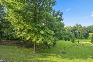 999 Dicks Hollow Rd, Winchester, VA 22603 - Photo 3