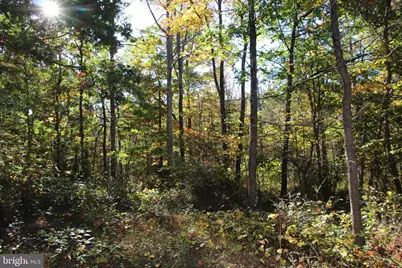 Wardensville Grade, Star Tannery, VA 22654 - Photo 41