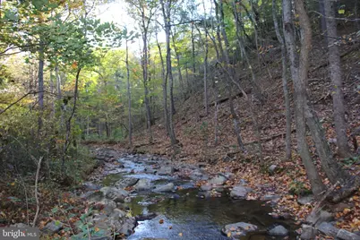 Wardensville Grade, Star Tannery, VA 22654 - Photo 29