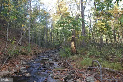 Wardensville Grade, Star Tannery, VA 22654 - Photo 27