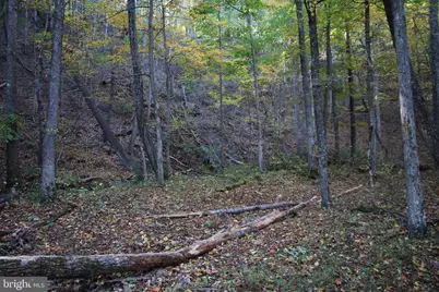 Wardensville Grade, Star Tannery, VA 22654 - Photo 11