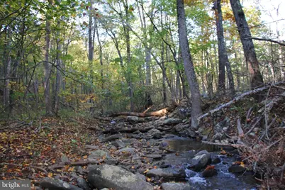 Wardensville Grade, Star Tannery, VA 22654 - Photo 7