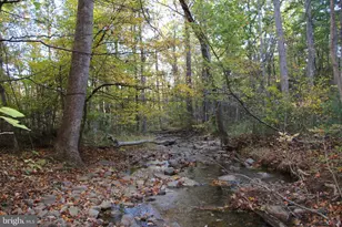 Wardensville Grade, Star Tannery, VA 22654 - Photo 1