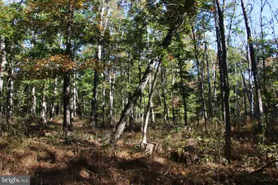 Wardensville Grade, Star Tannery, VA 22654 - Photo 39