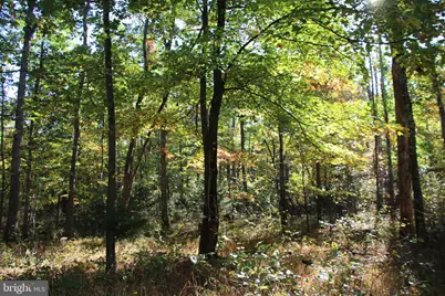 Wardensville Grade, Star Tannery, VA 22654 - Photo 45