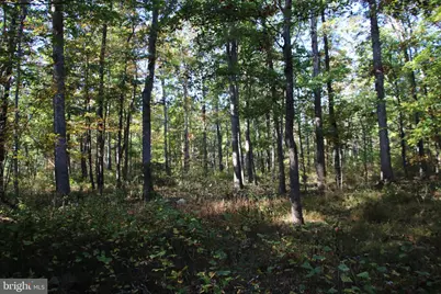 Wardensville Grade, Star Tannery, VA 22654 - Photo 19