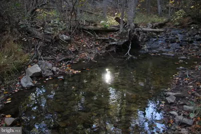 Wardensville Grade, Star Tannery, VA 22654 - Photo 5