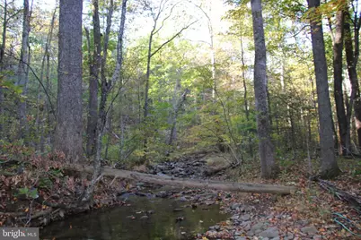 Wardensville Grade, Star Tannery, VA 22654 - Photo 25