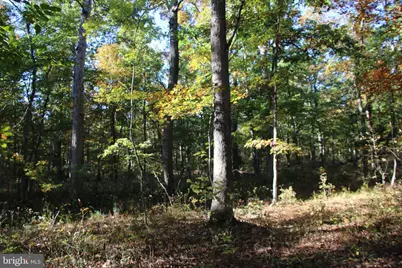 Wardensville Grade, Star Tannery, VA 22654 - Photo 17