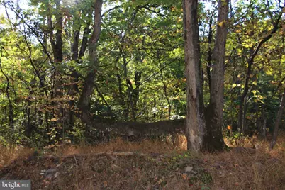 Wardensville Grade, Star Tannery, VA 22654 - Photo 13