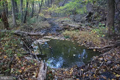 Wardensville Grade, Star Tannery, VA 22654 - Photo 33
