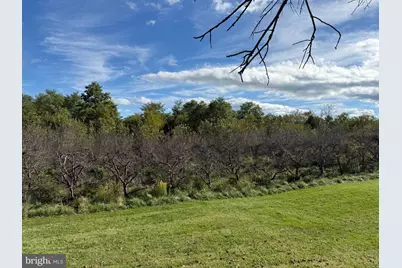 4035 Cedar Creek Grade, Winchester, VA 22602 - Photo 5