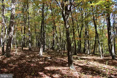 Capon Springs Grade, Star Tannery, VA 22654 - Photo 29