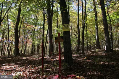 Capon Springs Grade, Star Tannery, VA 22654 - Photo 23