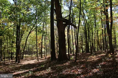 Capon Springs Grade, Star Tannery, VA 22654 - Photo 25