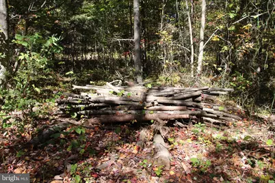 Capon Springs Grade, Star Tannery, VA 22654 - Photo 47