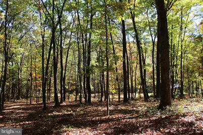 Capon Springs Grade, Star Tannery, VA 22654 - Photo 27
