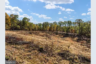 Scuttlebutt Road, Winchester, VA 22603 - Photo 19