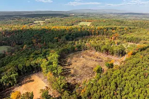 Scuttlebutt Rd, Winchester, VA 22603 - Photo 1