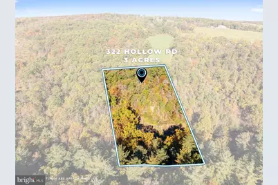 322 Hollow Road, Gore, VA 22637 - Photo 49