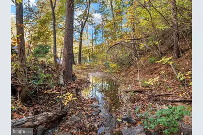 322 Hollow Road, Gore, VA 22637 - Photo 57