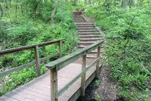 14669 Battery Ridge Ln, Centreville, VA 20120 - Photo 75