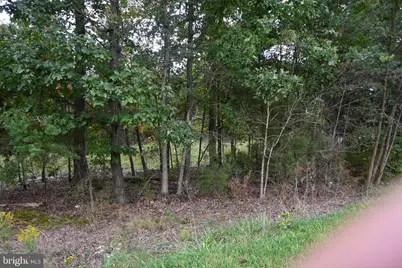 11601 Braddock Road, Fairfax, VA 22030 - Photo 5