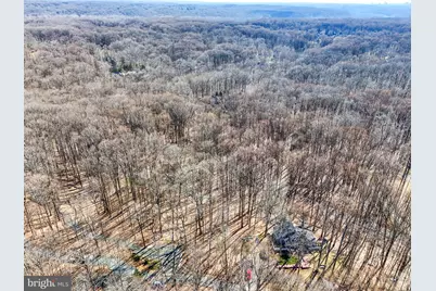 9203 Potomac Ridge Road, Great Falls, VA 22066 - Photo 3