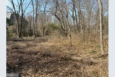 8119 Stacey Road, Alexandria, VA 22308 - Photo 5