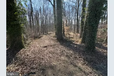 8119 Stacey Road, Alexandria, VA 22308 - Photo 9