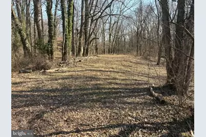 8119 Stacey Road, Alexandria, VA 22308 - Photo 3