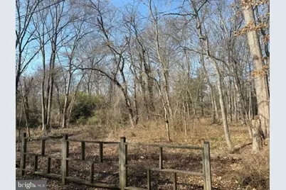 8123 Stacey Road, Alexandria, VA 22308 - Photo 15