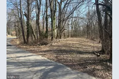 8123 Stacey Road, Alexandria, VA 22308 - Photo 1