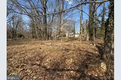 8123 Stacey Road, Alexandria, VA 22308 - Photo 9