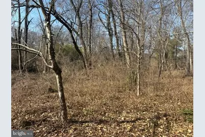 8126 Stacey Road, Alexandria, VA 22308 - Photo 5