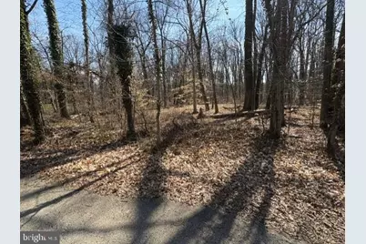 8126 Stacey Road, Alexandria, VA 22308 - Photo 11