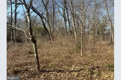 8127 Stacey Road, Alexandria, VA 22308 - Photo 5