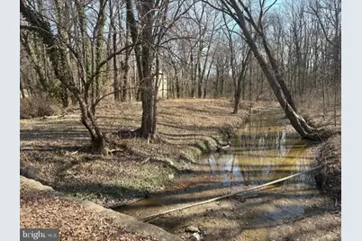 8127 Stacey Road, Alexandria, VA 22308 - Photo 7