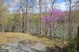 121 Yarnick Rd, Great Falls, VA 22066 - Photo 95