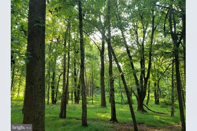 748 Kentland Drive, Great Falls, VA 22066 - Photo 1