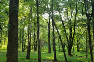 748 Kentland Dr, Great Falls, VA 22066 - Photo 1