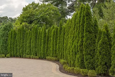 1181 Ballantrae Lane, McLean, VA 22101 - Photo 85