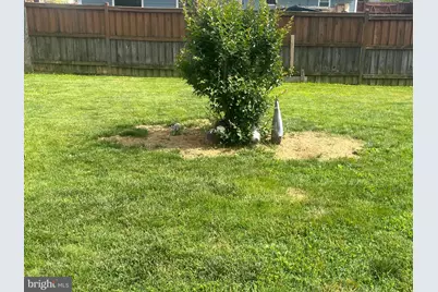 4111 Lawrence Street, Alexandria, VA 22309 - Photo 5