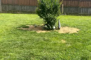 4111 Lawrence St, Alexandria, VA 22309 - Photo 5