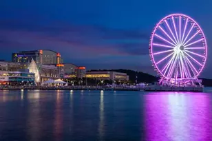 7984 Audubon Ave, Alexandria, VA 22306 - Photo 51