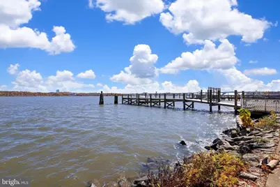 7984 Audubon Avenue #203, Alexandria, VA 22306 - Photo 39