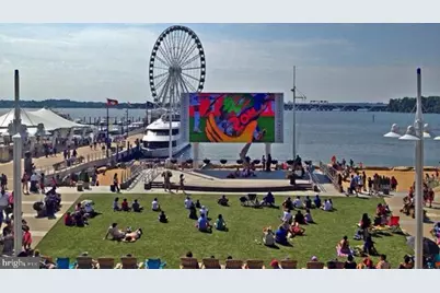 7984 Audubon Avenue #203, Alexandria, VA 22306 - Photo 53