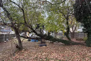 5715 Magnolia Ln, Falls Church, VA 22041 - Photo 5